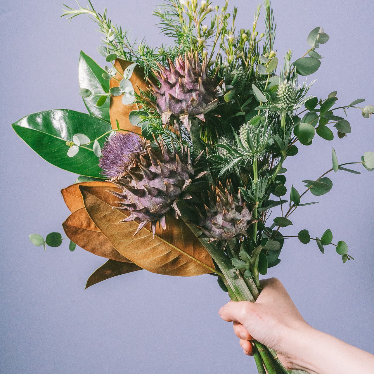 専用＊感謝Sale＊アーティーチョーク　シック　ドライフラワースワッグ アーティチョークのスワッグ ドライフラワー powder 通販 12009958