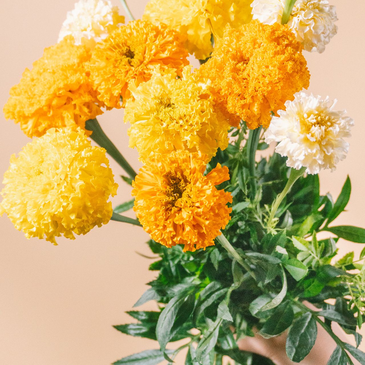 large_1038e010-8b3e-4289-9f64-