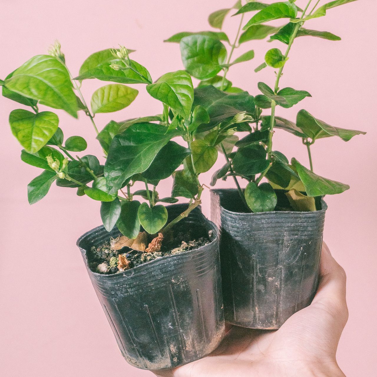 large_d7fd118b-99f4-4508-8b23-