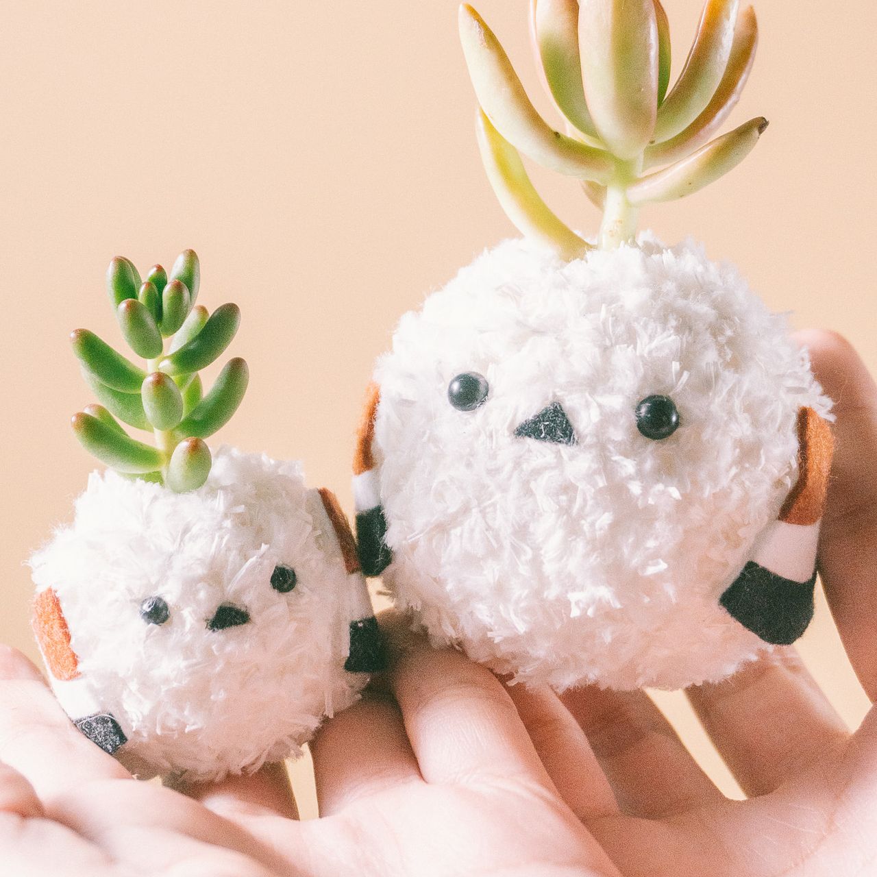 多肉植物モスビー「シマエナガ親子」（2個セット）