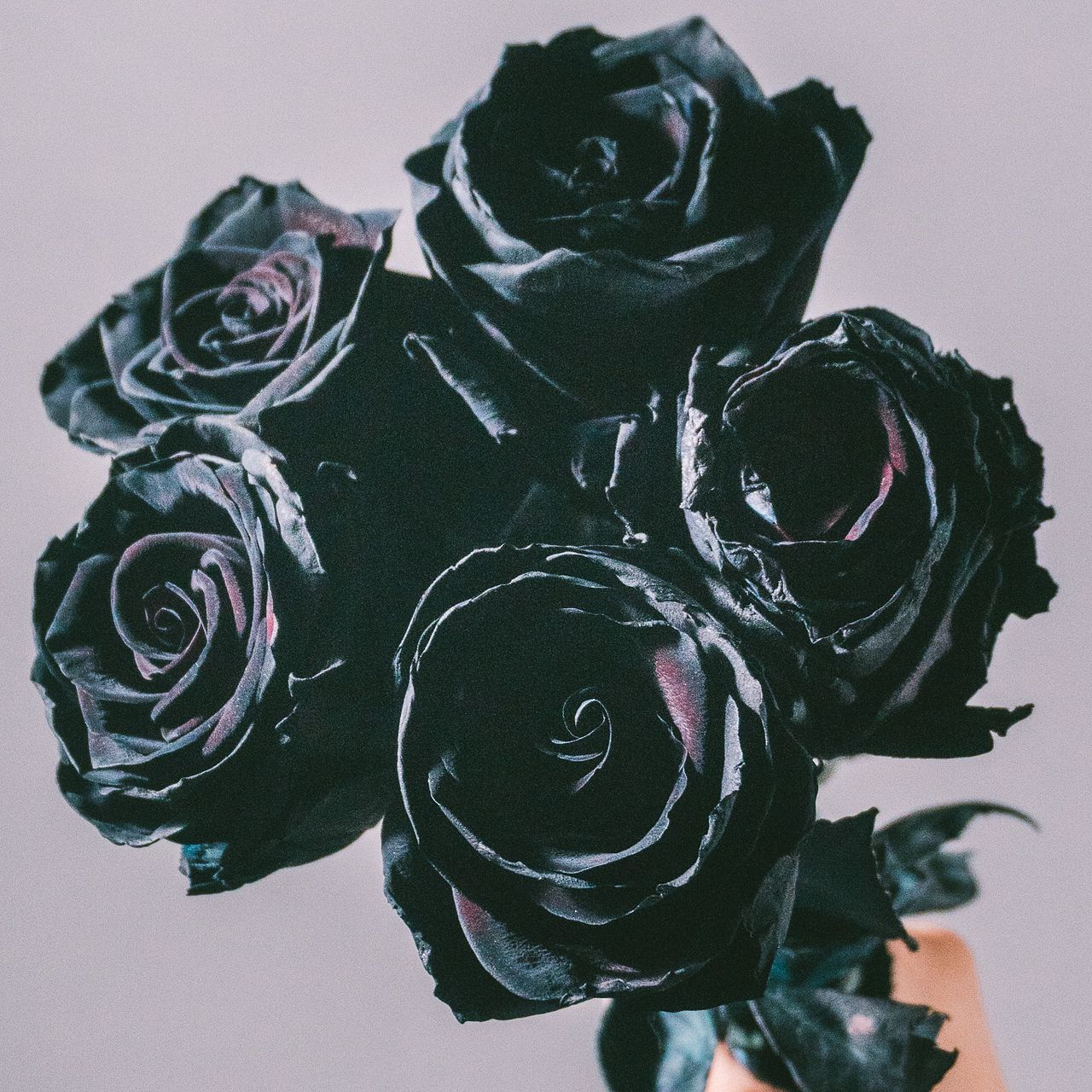 large_672c1d10-20fd-4de8-93fe- 