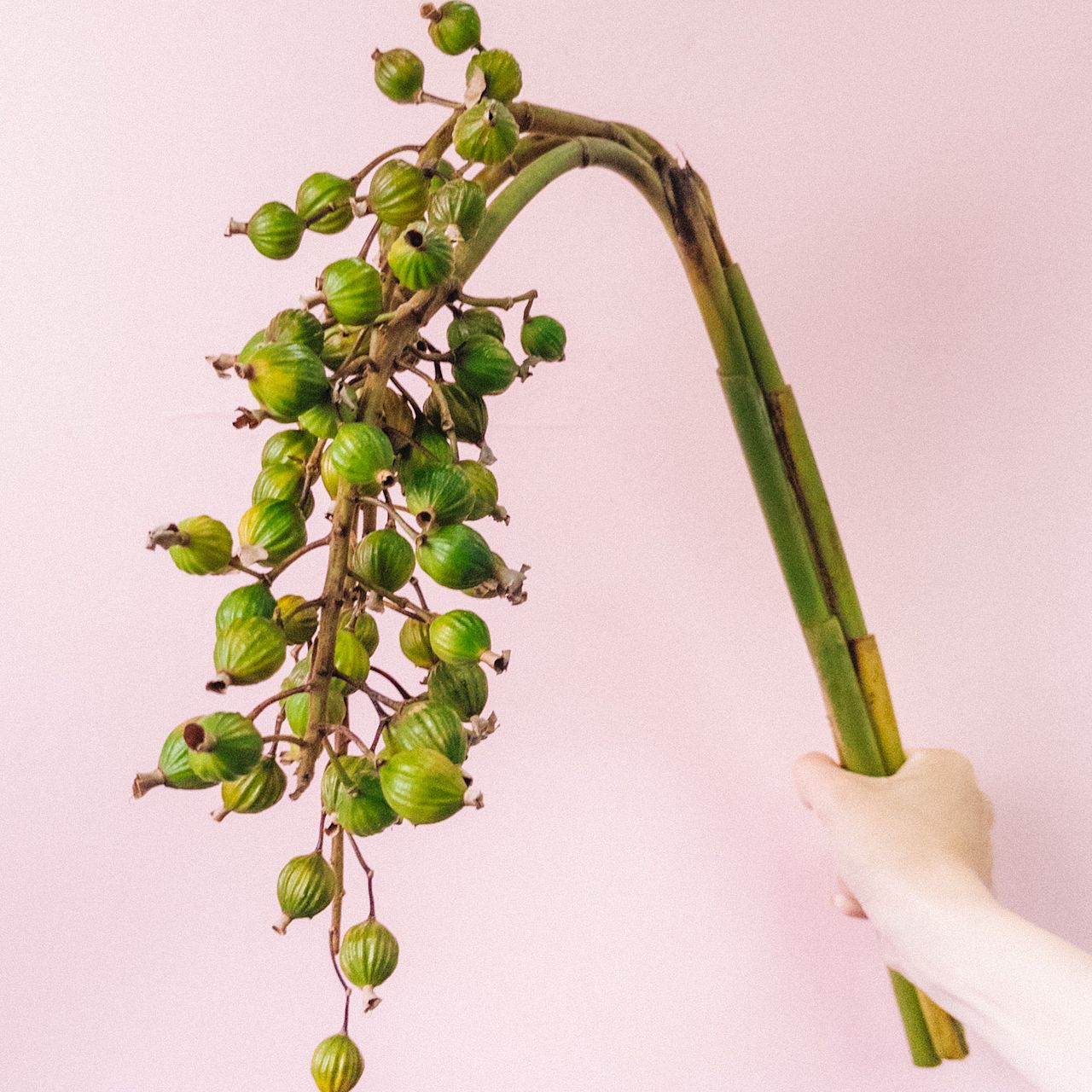 large_8e42446e-89ea-4e99-b149-