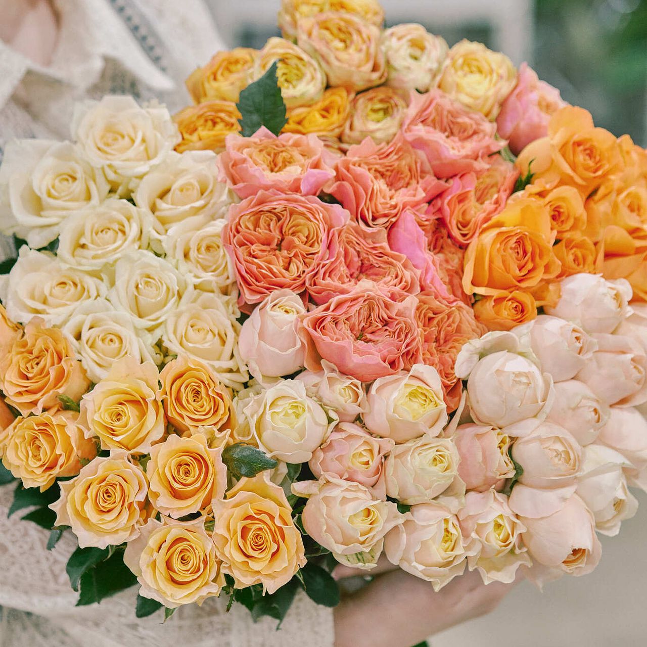 生産者さん応援ローズ（オレンジ、アプリコットおまかせ10本）