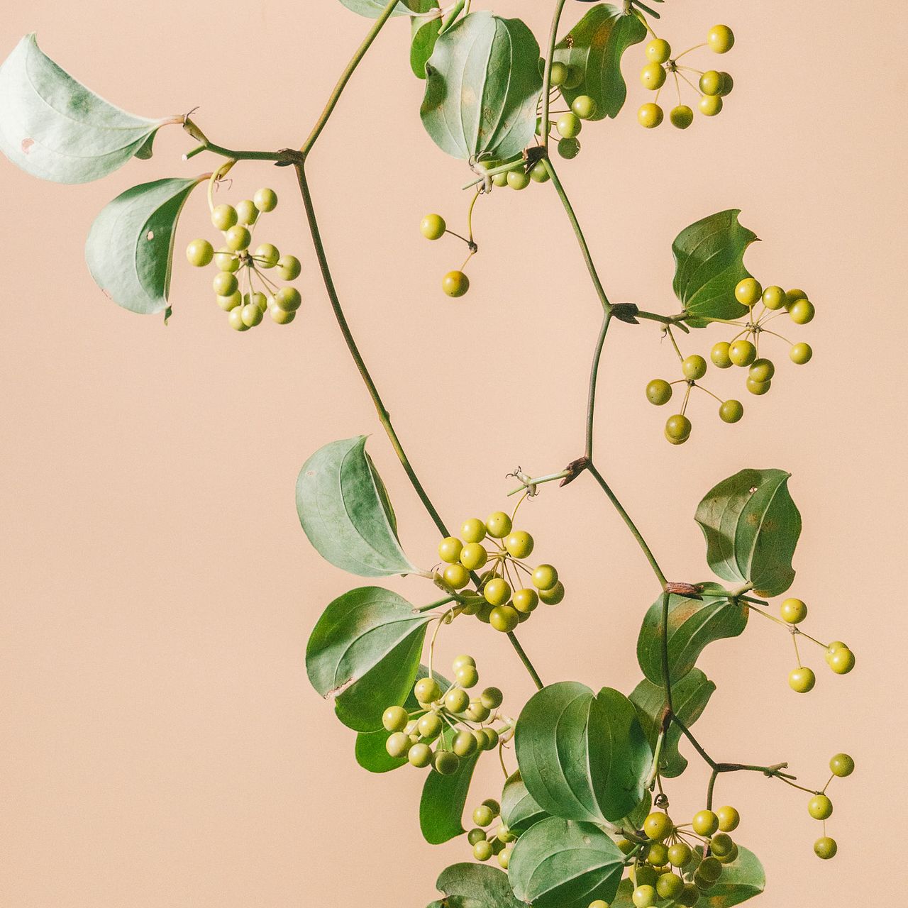 large_0f1ec367-2921-4162-a4d4-