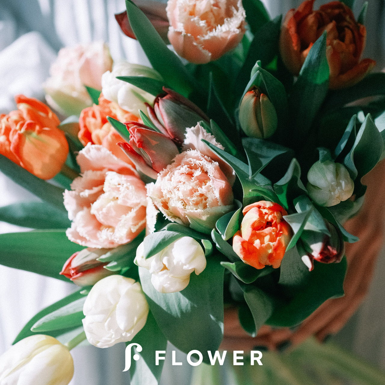 産直】センティアのおまかせチューリップ