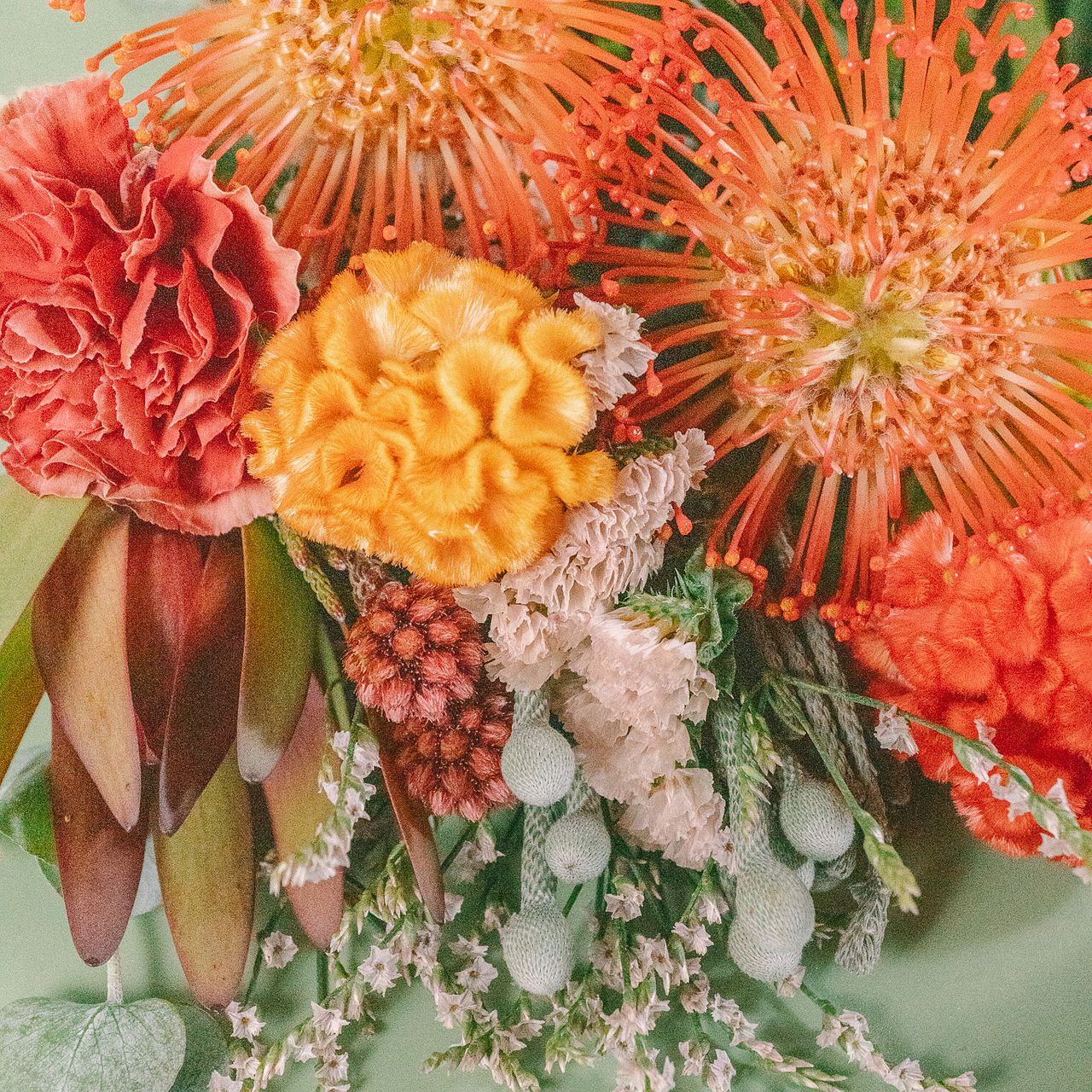 large_f51201e6-4782-42a2-8f42-