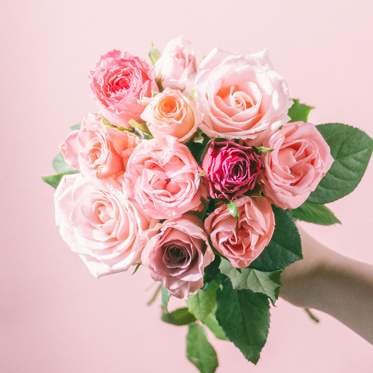 ピンクアソート「ローズ」