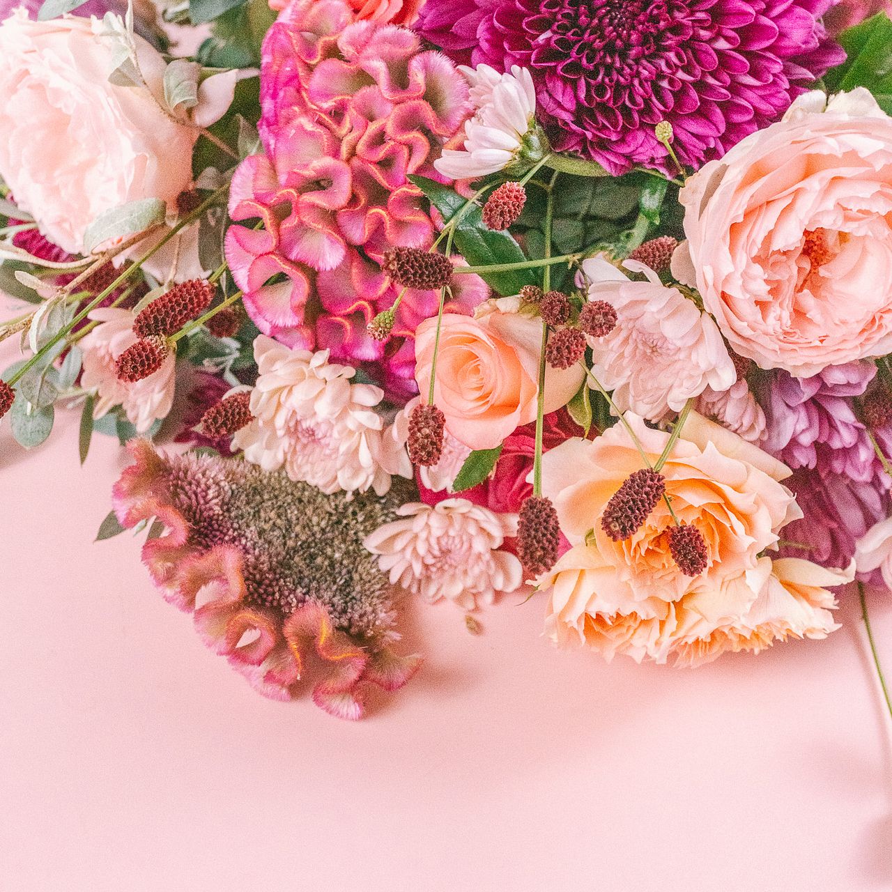 large_e8c8d4be-9e9c-423e-b30c-