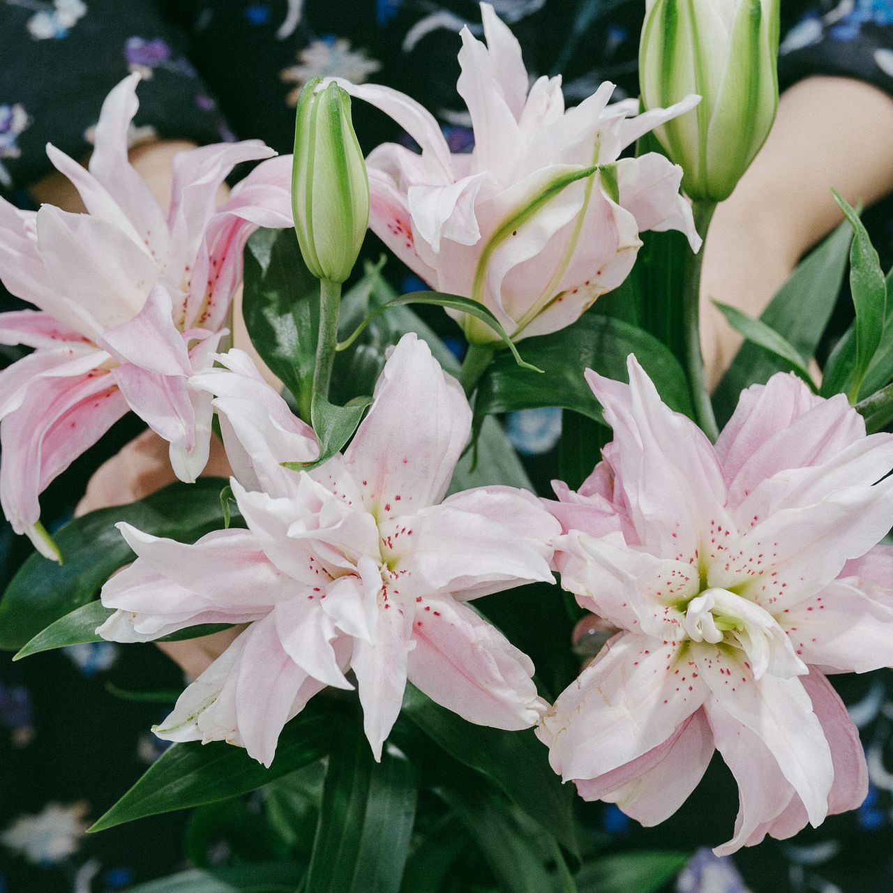 large_8bfd26cb-1920-4feb-a3ad-