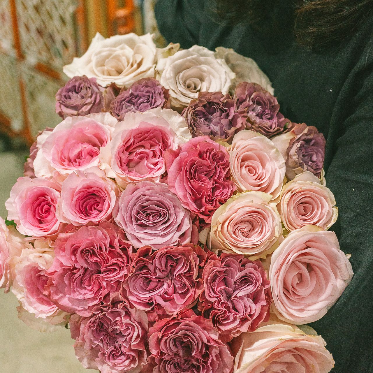 旅するローズ「ピンクアソート」