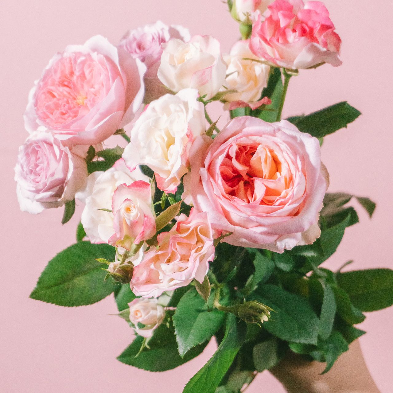 萬華園のストロベリーローズアソート