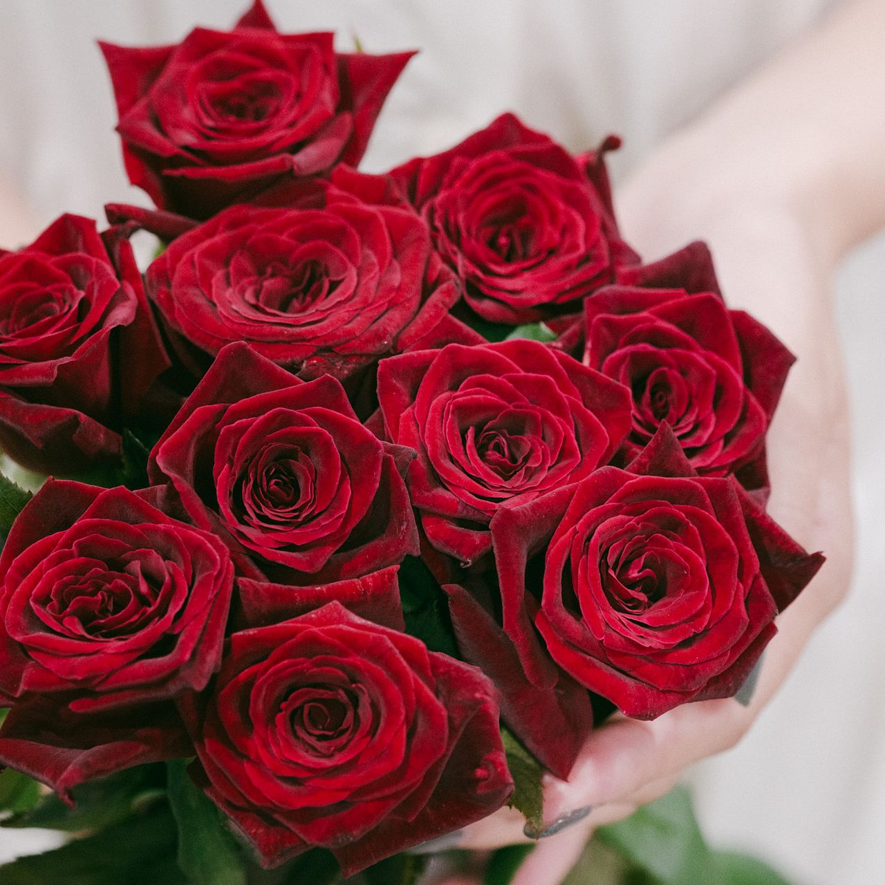 large_fec0dea1-7663-4588-8071-