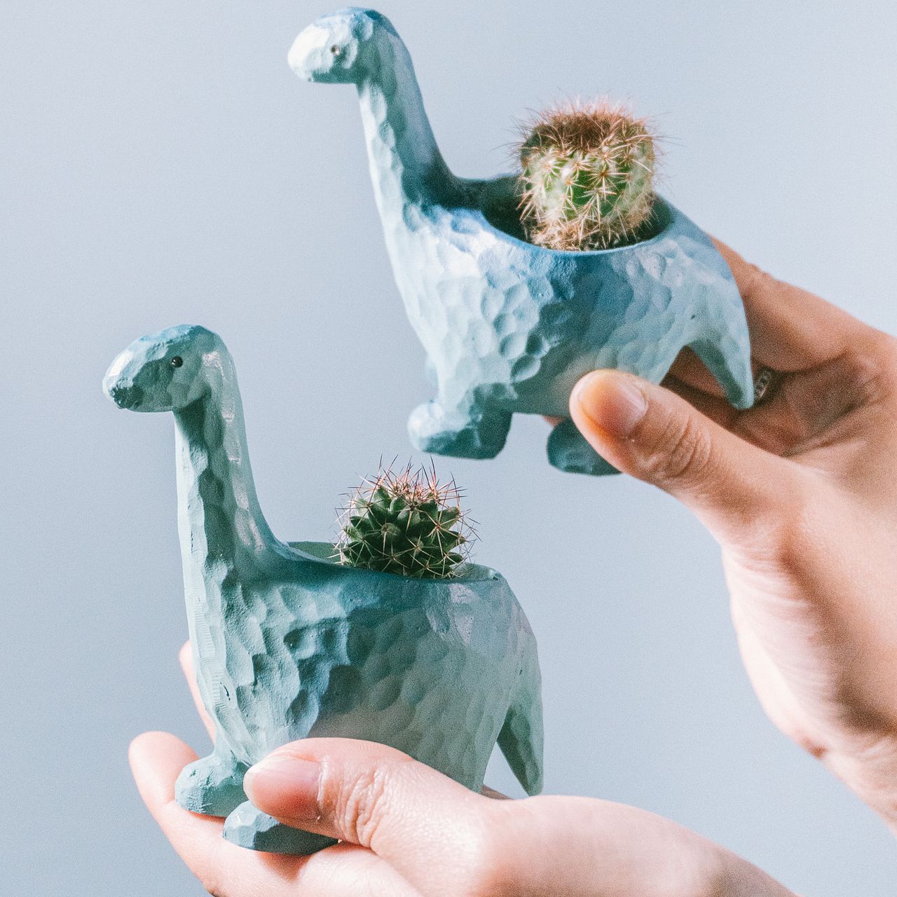 ブラキオサウルスのミニサボテンキット（1個）