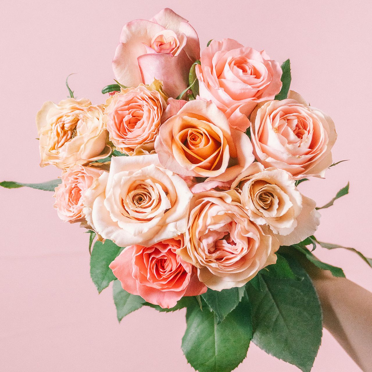 large_039b7608-d8b1-4d30-9e47-