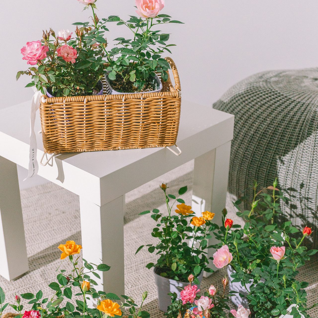 フェントン　バスケット　ローズガーデン フェントン バスケット ローズガーデン フェントン バスケット