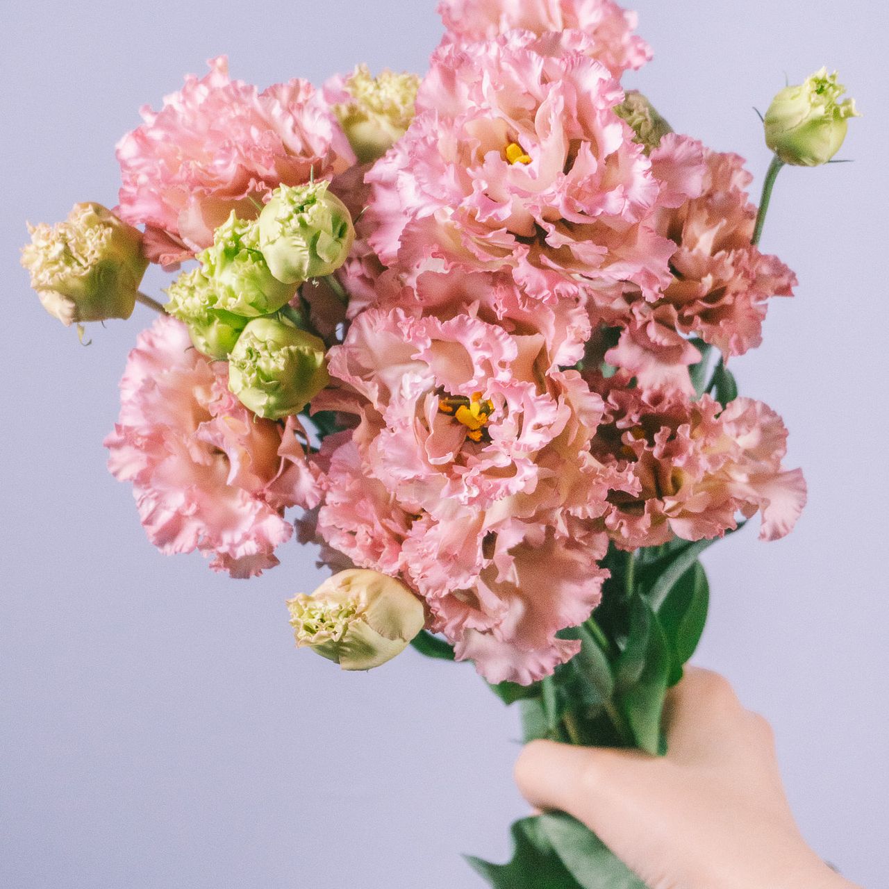 沢山のお花が描かれピンクと茶色のコントラスト素敵なカイセリオールド