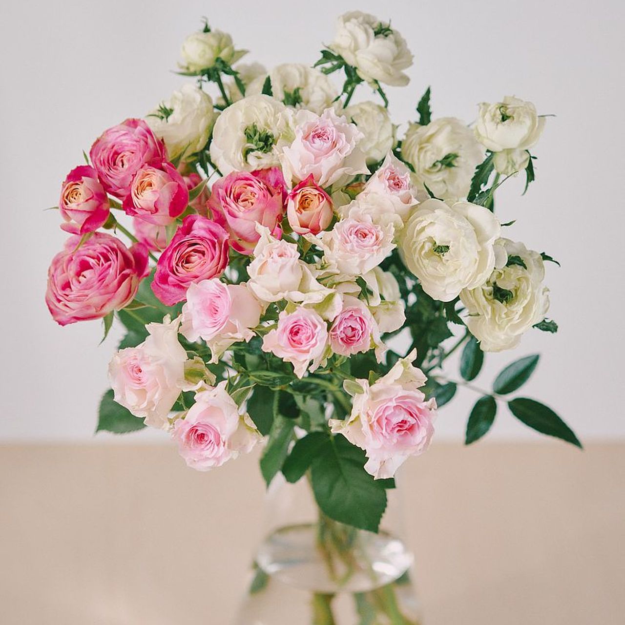 ホワイトフレアまとめ売り4(バラok!!)ミラー草~超 産地直送 バラ アバランチェ 12本束／滋賀 國枝バラ園からお届け