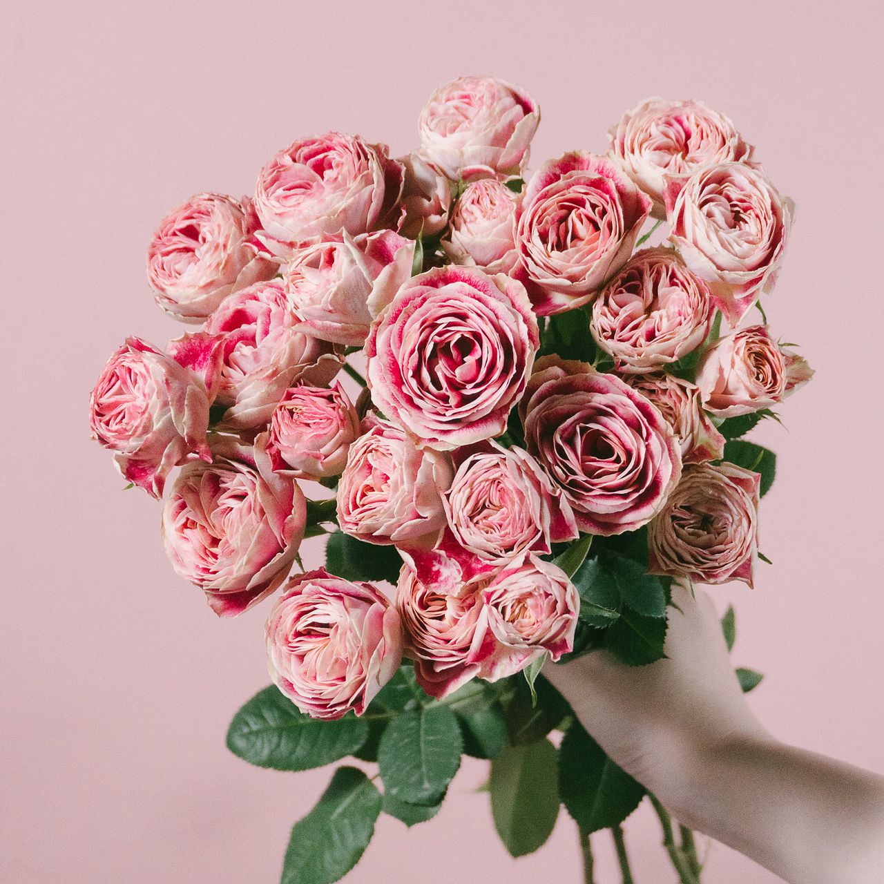 large_c1721634-60d0-4881-8c5c-