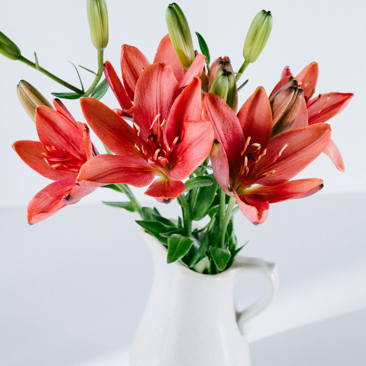 large_c91a6b3d-bfbb-4eeb-b62e-