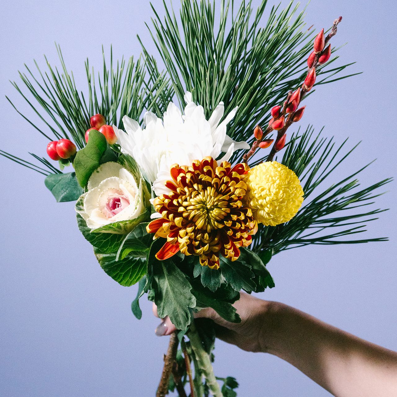 large_cd6df2ac-21b8-4bd0-9595-