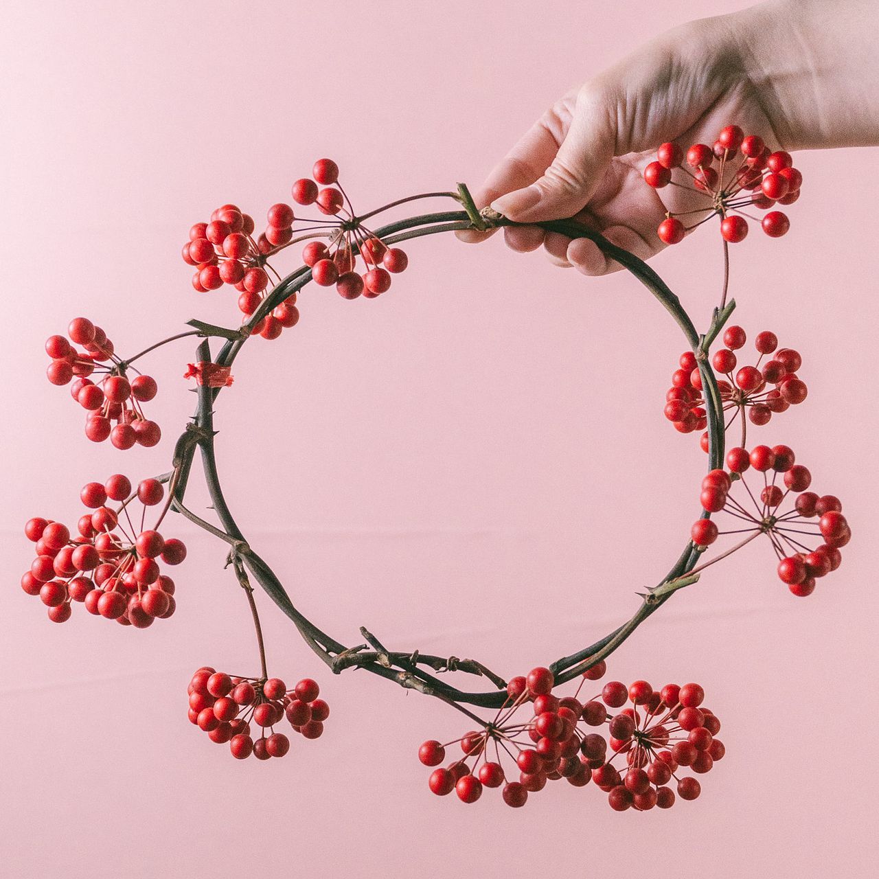 12月のお買い得】サンキライのリース