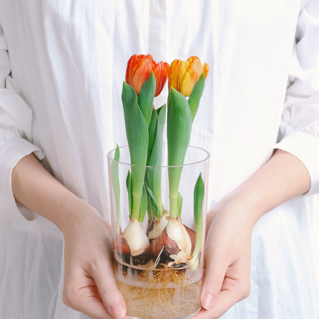 large_5fcdcdcf-fee5-4cae-97fe-