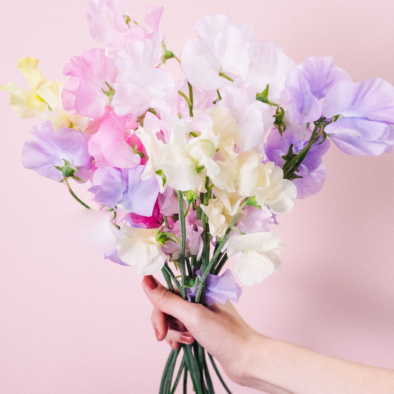 large_b45e1136-0e29-423d-b847-