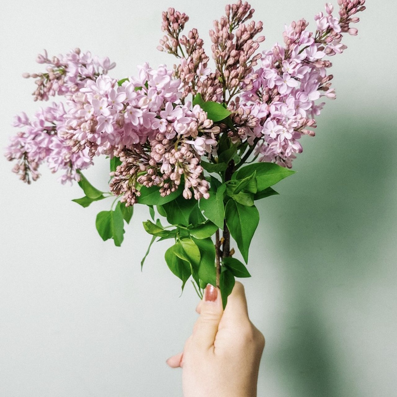 large_2b97a21d-325f-406e-9775-