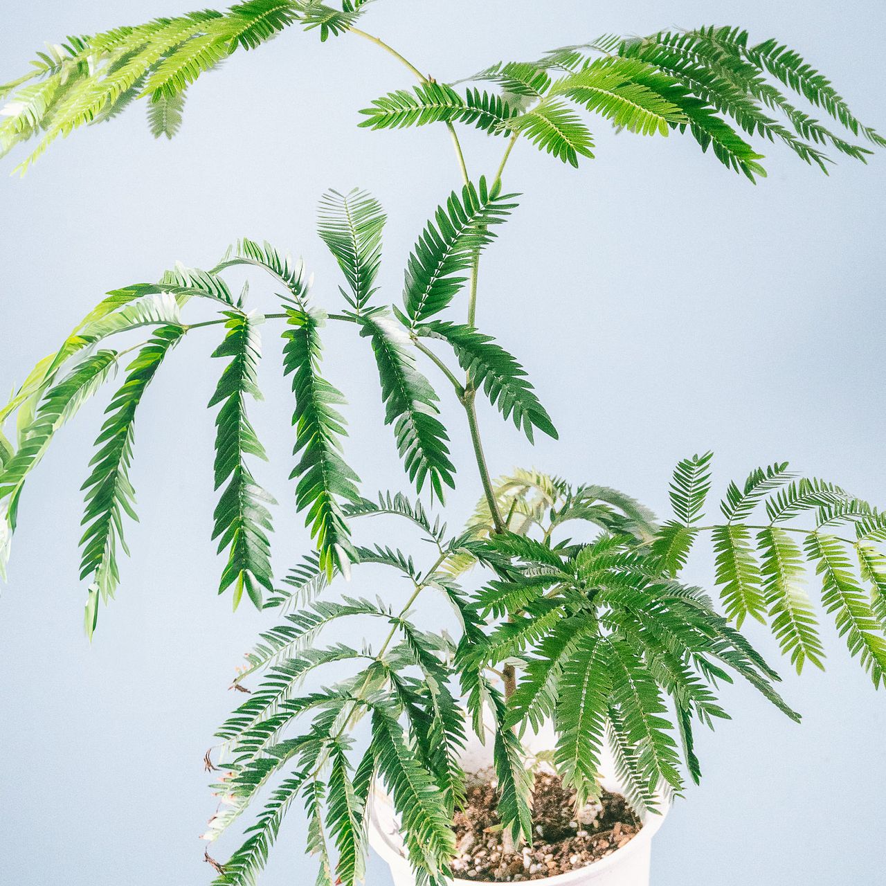 large_a8c53e7a-aef5-418d-88d3-