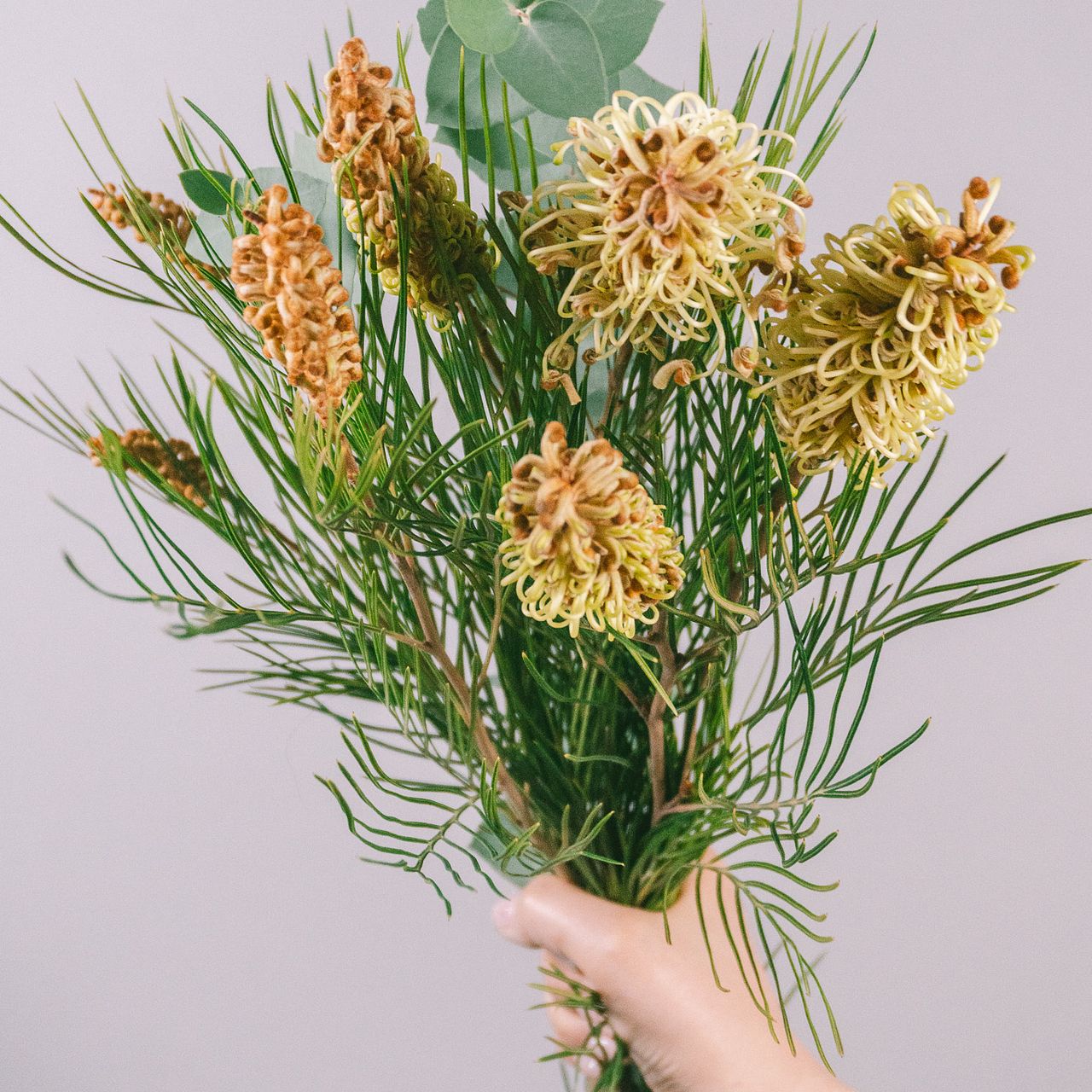 高級ネイティブフラワー「スパイダーマン」スワッグ