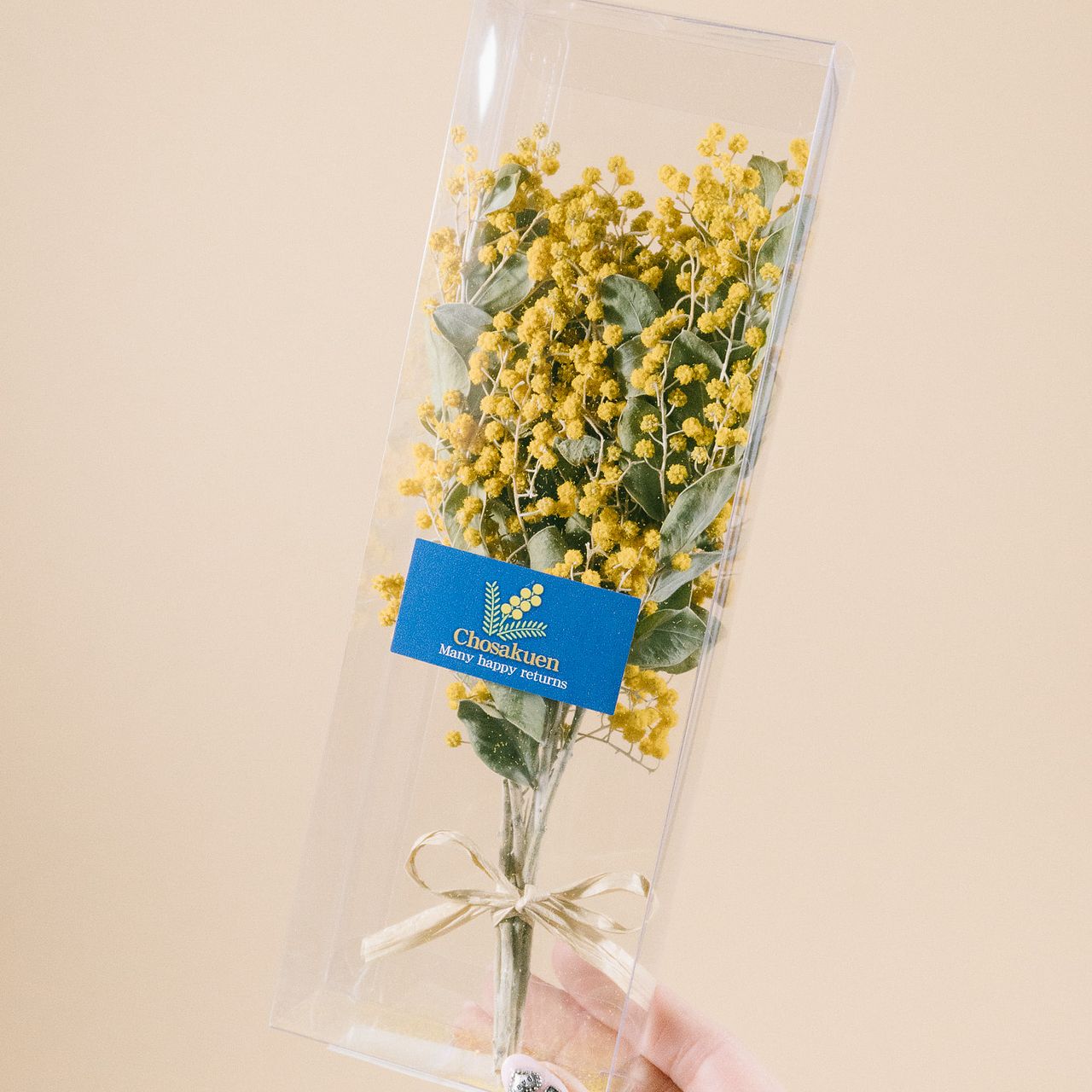 小さなミモザの箱庭