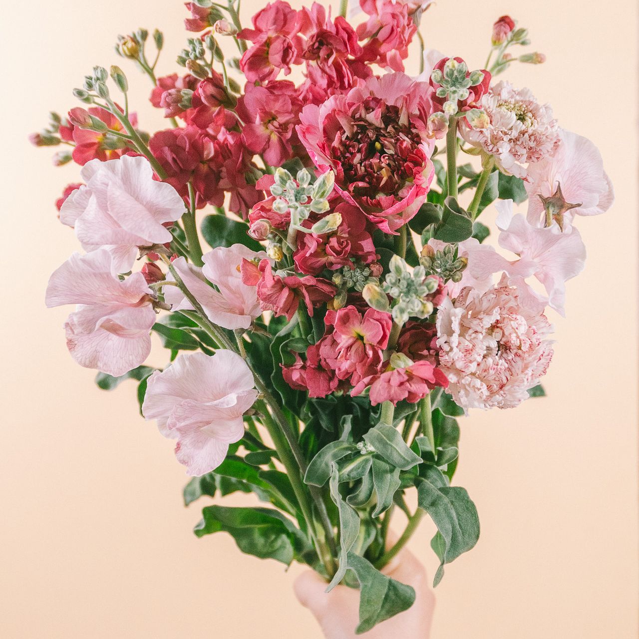 高級ラナンキュラスのニュアンスアソート