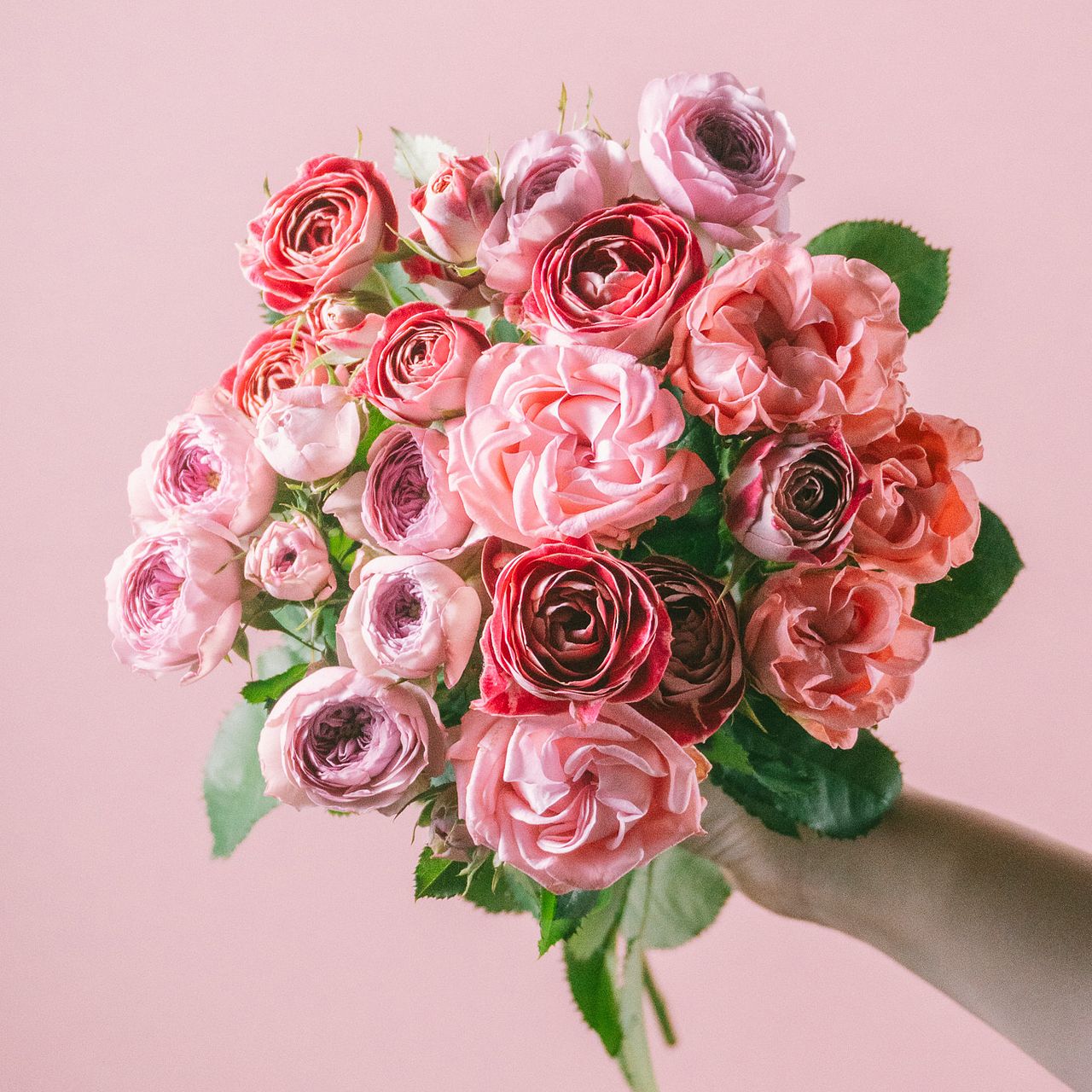 希少品種ローズアソート