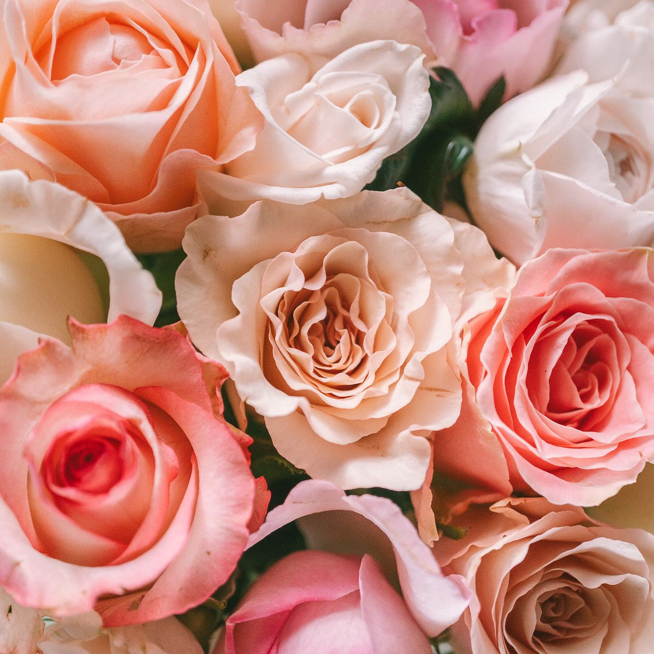 Fall in rose パステルピンクのバラを集めて