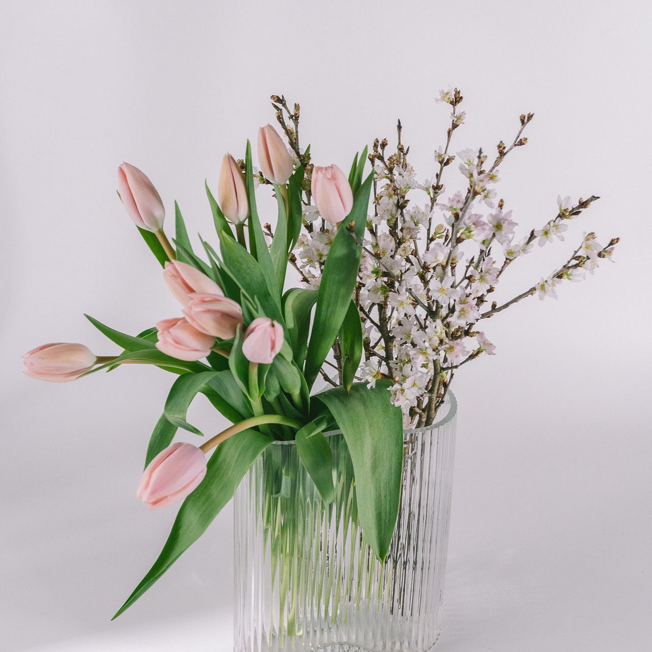 2BUY10%OFF】桜と春色チューリップ