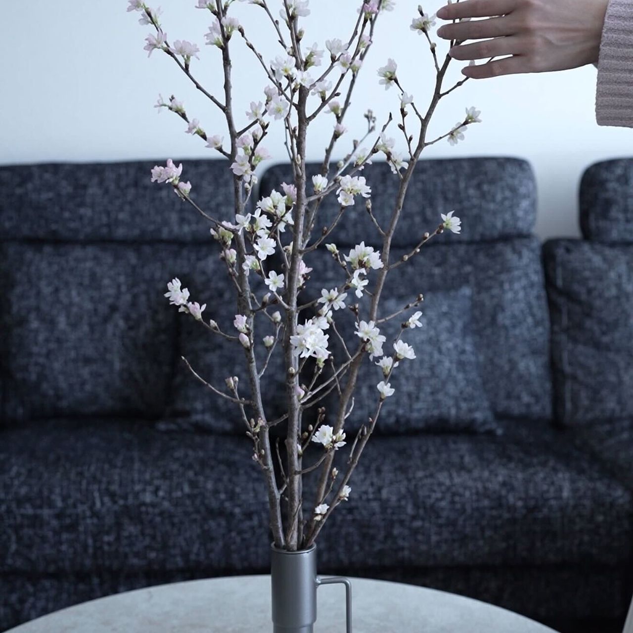 春の枝物「啓翁桜」(ロングサイズ)