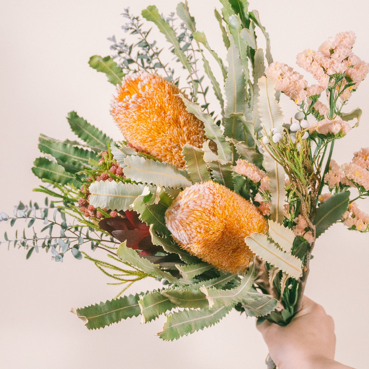 高級バンクシア「バーデッティーのスワッグ」