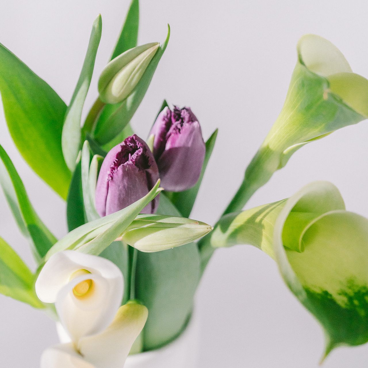 曲線を楽しむブーケ「カラーとチューリップ」