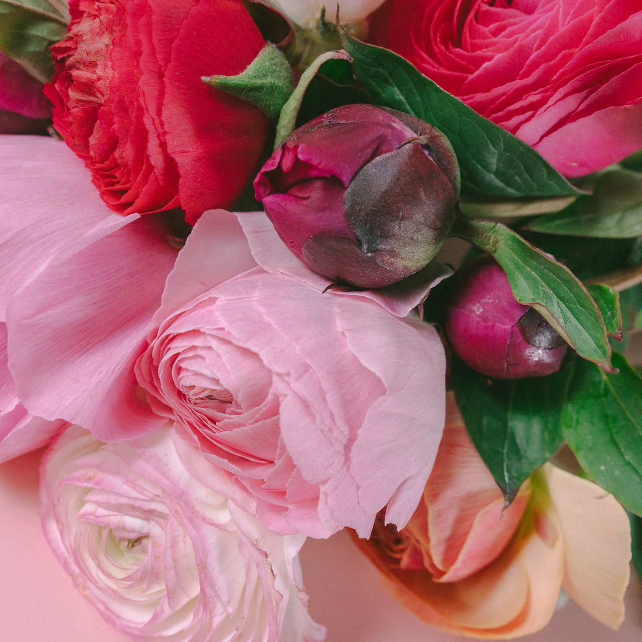 リナページ　23センチ芍薬オーダー 早咲き芍薬とラナンキュラスのおまかせ