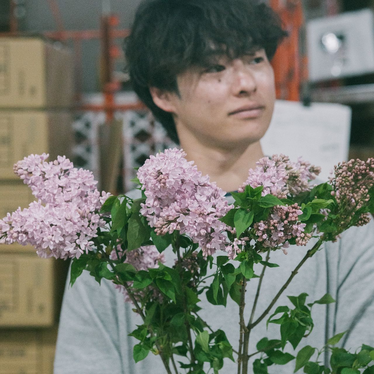 国産ライラック（ロングサイズ）