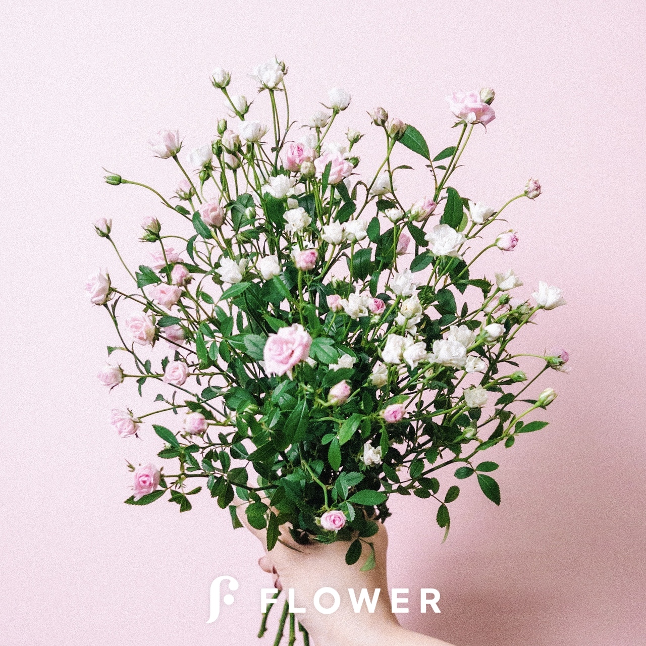 ハンドメイド　花材　ドライフラワー　リトルウッズ　薔薇　r-5 再入荷 】世界最小のバラ リトルウッズ ピンク 国産【 ドライ