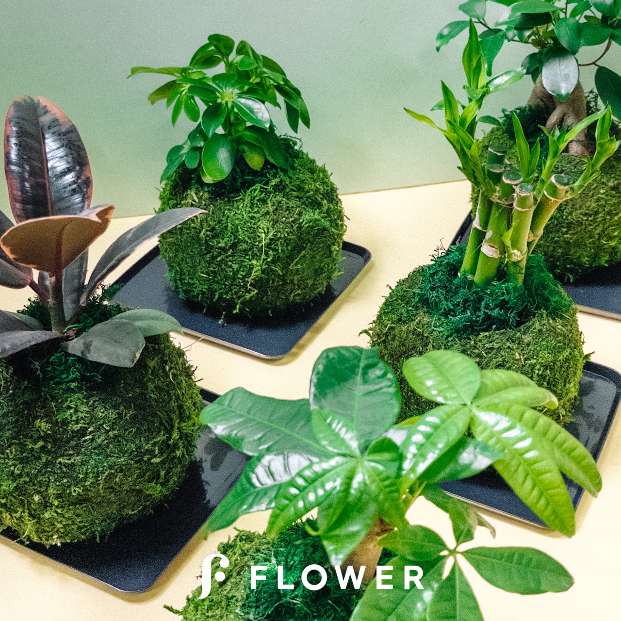 ★苔玉用台 吸水 木製層状苔玉鉢ホルダー 傷汚れあり a0412 ☆苔玉用台 吸水 木製層状苔玉鉢ホルダー 傷汚れあり a0412