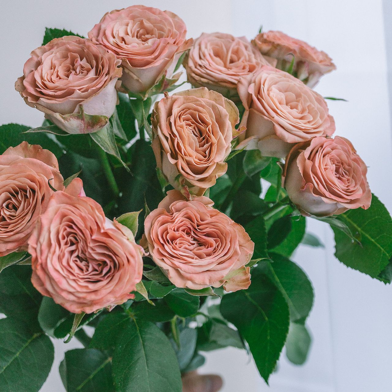 アンティーク ブロンズリーフ クラシックローズと花々のプチポワン プルベル アンティーク ブロンズリーフ クラシックローズと花々のプチポワン