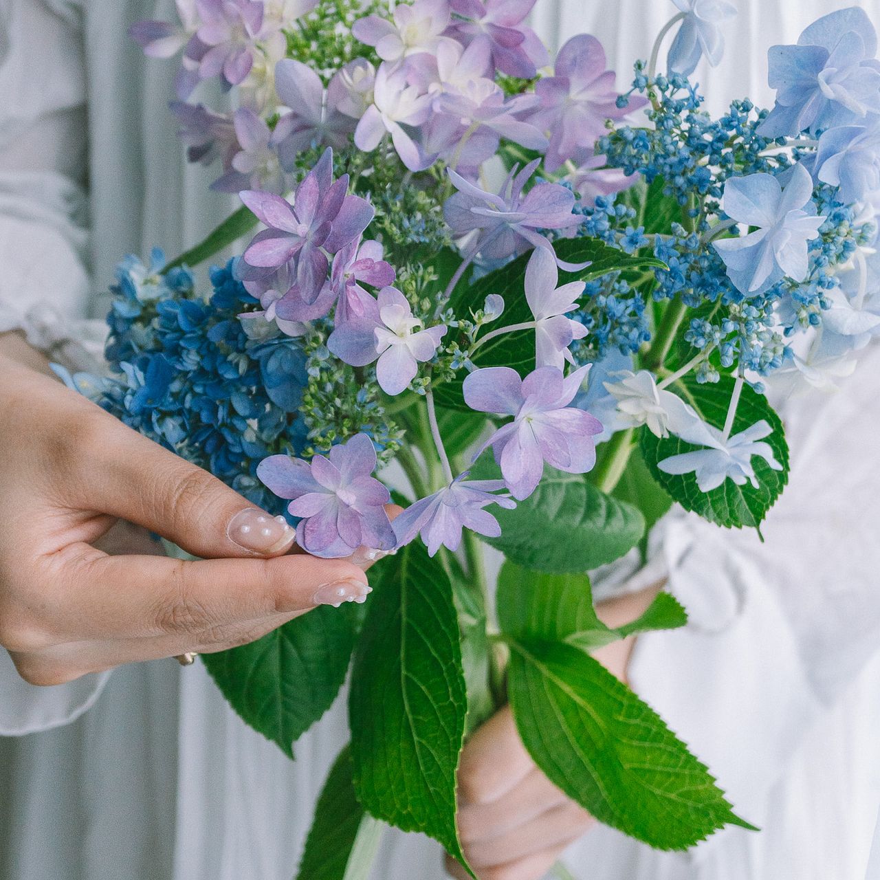 【苺花 様】専用・青360g×2袋≪フォロー割特価≫ たっぷり！紫陽花MIX（8本）