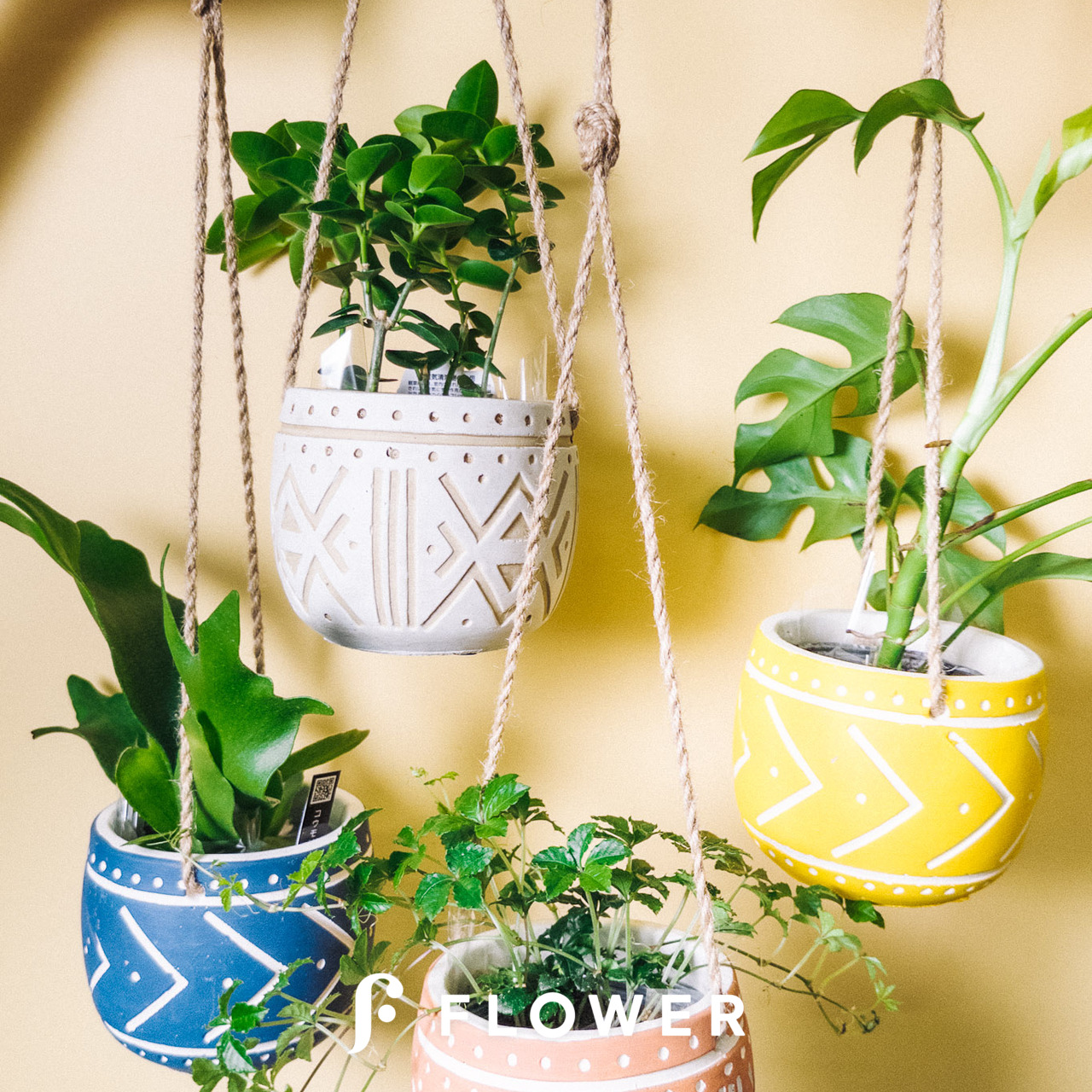 【大特価！】ハンギングポット　定価42,000円　観葉植物 レザーポットハンギング グレー | 観葉植物・お花の通販 AND PLANTS