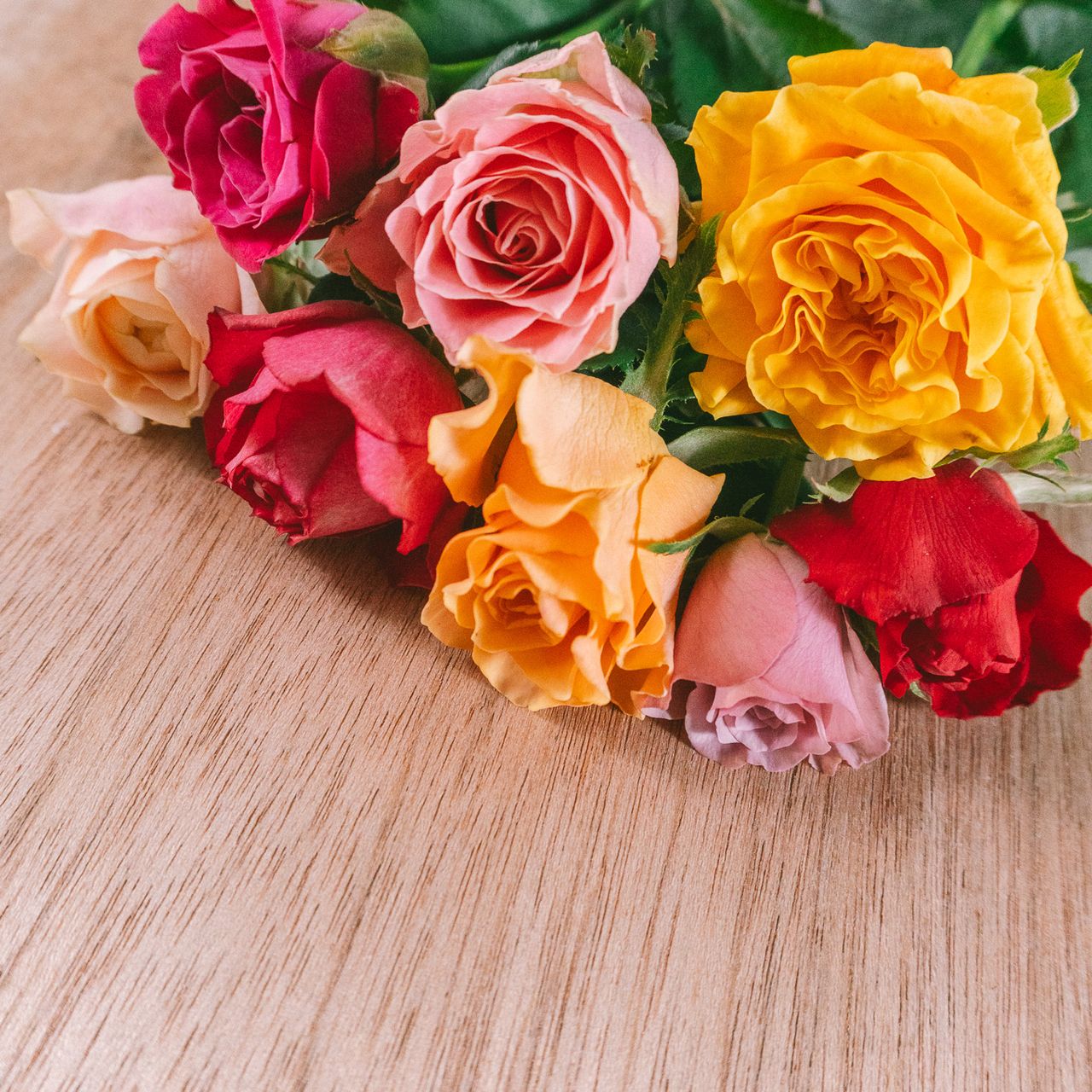 Autumn Rose