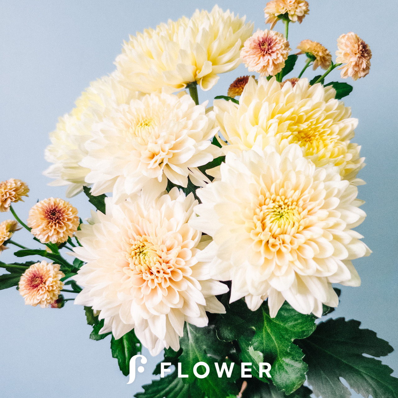 ヌーディーマム