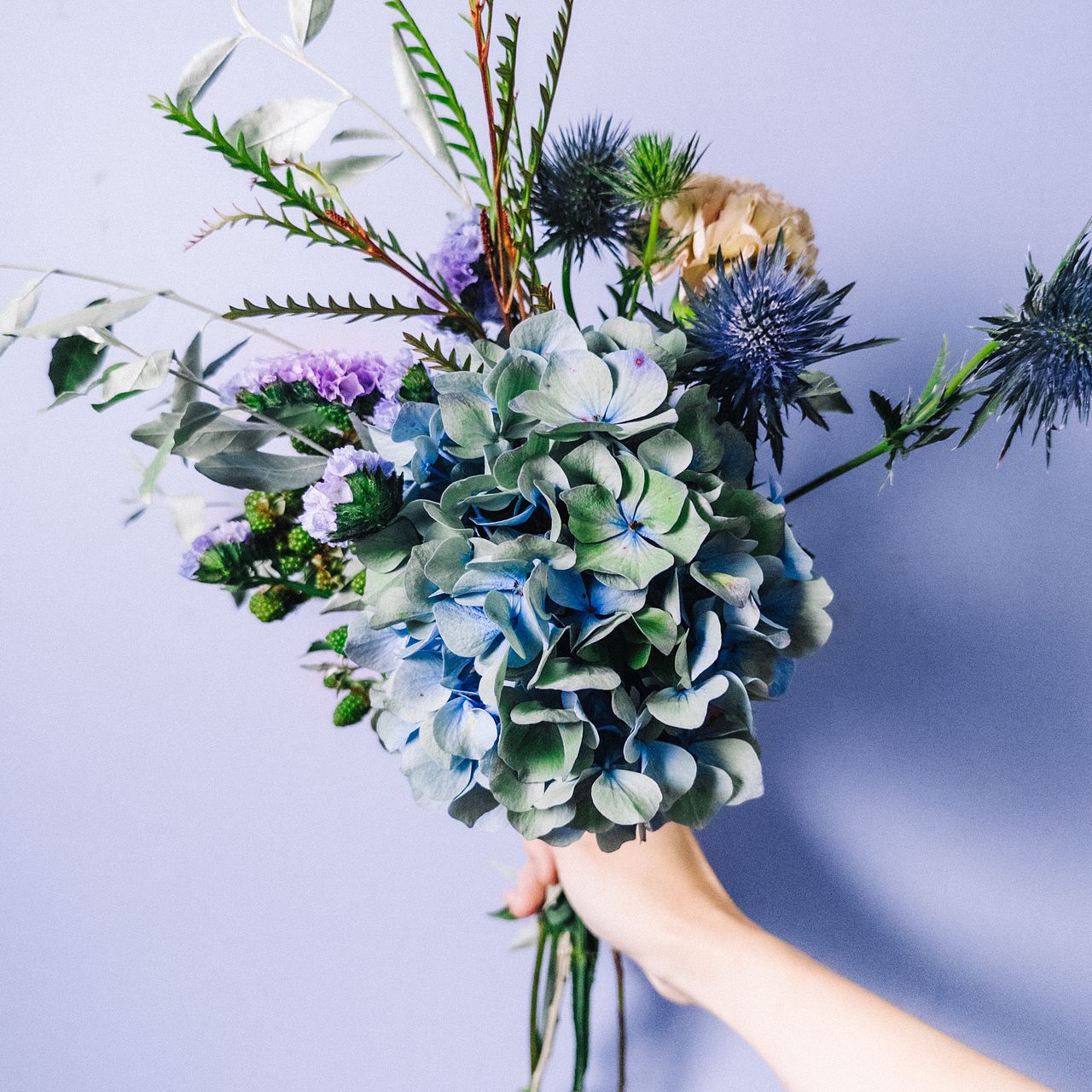 アンティークブルーの紫陽花