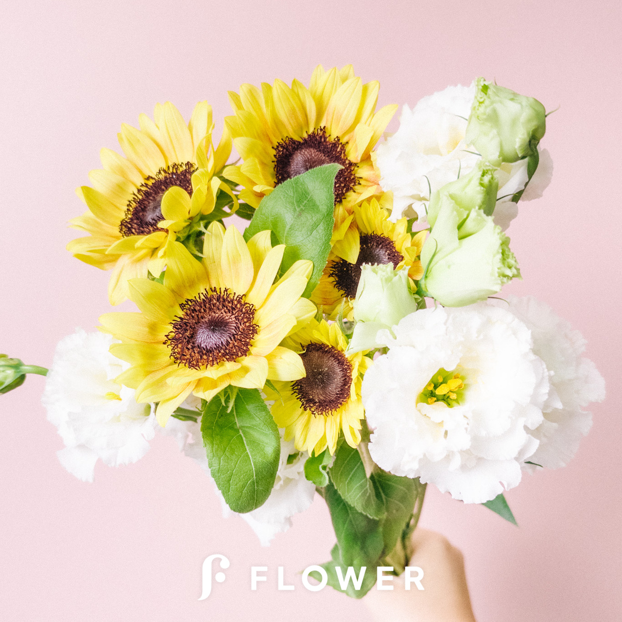 ひまわり18トルコキキョウ　トルコギキョウ苗 ひまわり18様専用トルコキキョウ トルコギキョウ苗 トルコキキョウと