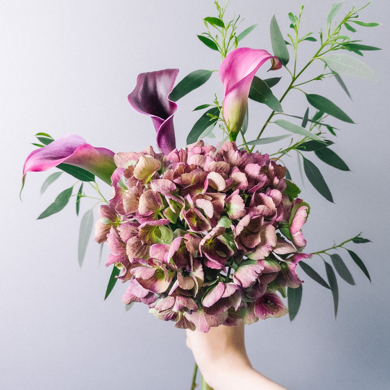 アンティーク紫陽花とカラー